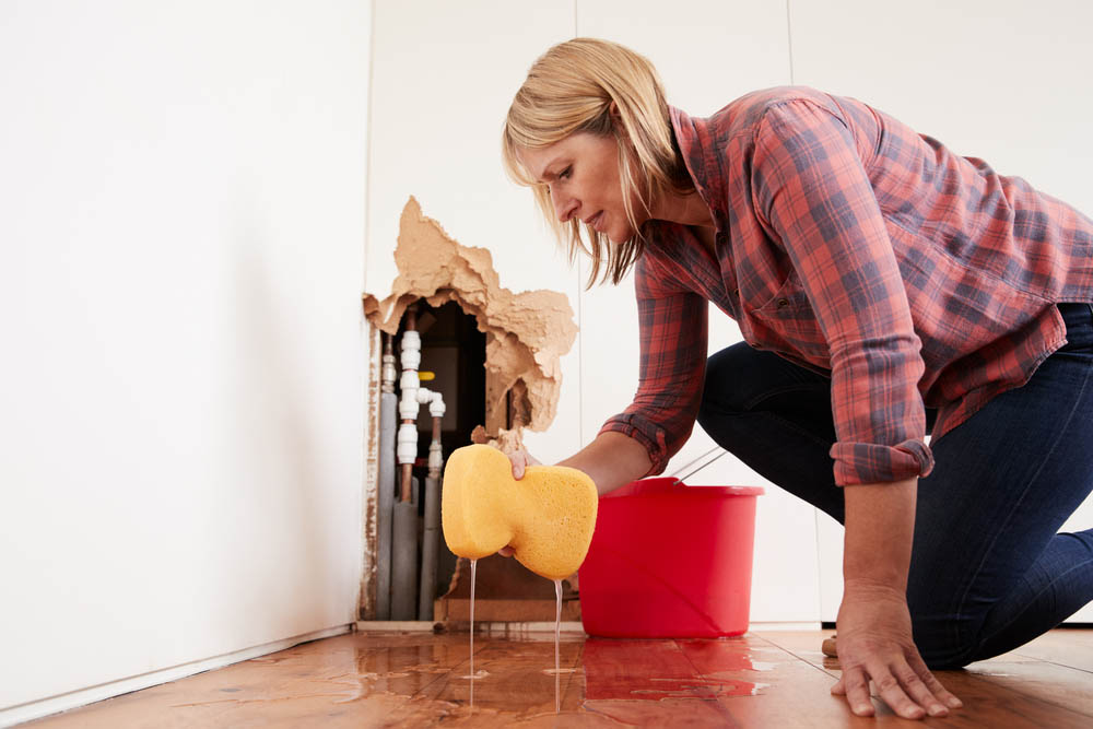 plumber burst pipe repair Glen Ellyn, IL